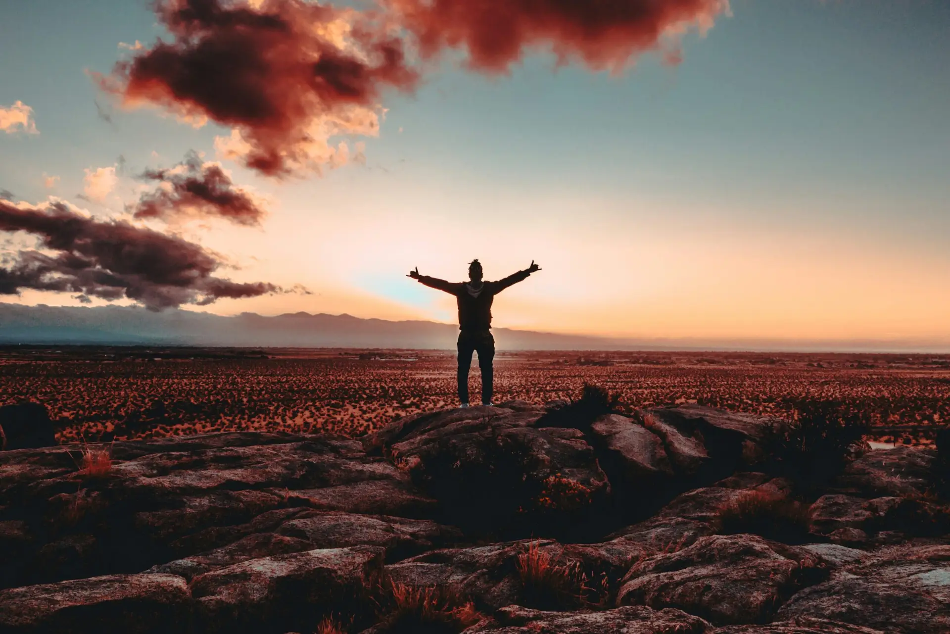 Mental health therapy value